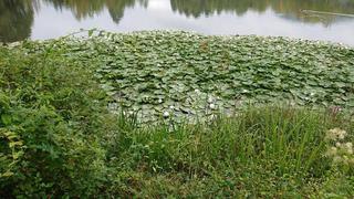 DSC_0199_R.JPG
