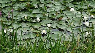 DSC_0200_R.JPG