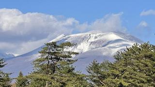 IMG_5675_R.JPG