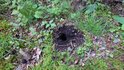 DSC_5938_R.JPG