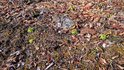 20250323_152125_R.JPG