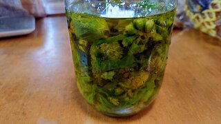 20250330_145140_R.JPG