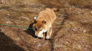 20250405_135205 (1)_R.JPG