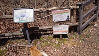 20250421_112921_R.JPG