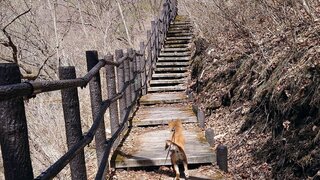 20250421_113328_R.JPG