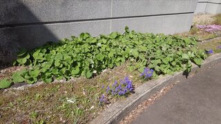 20250421_142105_R.JPG