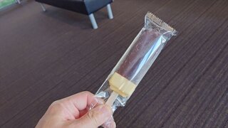 20250426_081602_R.JPG