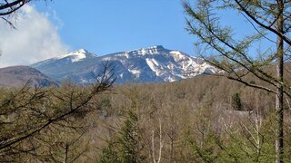 20250426_083009_R.JPG