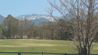 20250501_115554_R.JPG