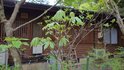 20250509_082127_R.JPG