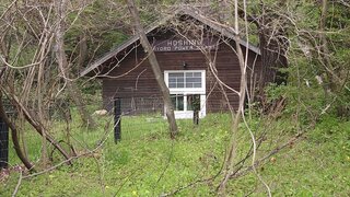 20250509_132441_R.JPG