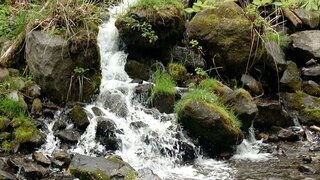 20250509_133320_R.JPG