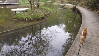 20250509_133719_R.JPG