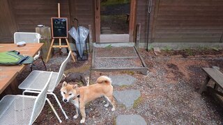 20250509_140711_R.JPG
