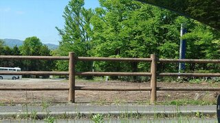 20250513_090822_R.JPG