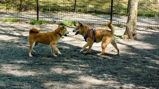 20250513_092335-EDIT_R.jpg