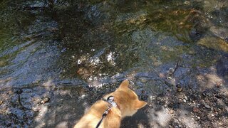 20250513_095312_R.JPG