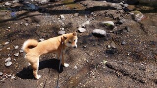 20250513_095344_R.JPG