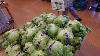 20250513_101009_R.JPG