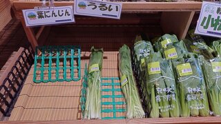 20250513_101038_R.JPG