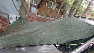 20250523_092058_R.JPG