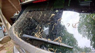 20250523_092359_R.JPG
