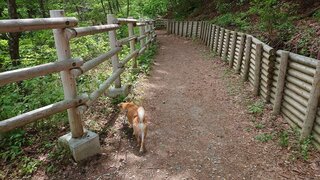 20250523_102600_R.JPG