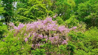 20250523_103000-EDIT_R.jpg