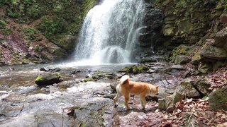 20250523_103217_R.JPG