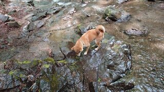 20250523_103327_R.JPG