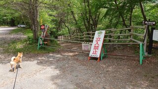 20250523_104048_R.JPG