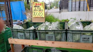 20250523_105820_R.JPG