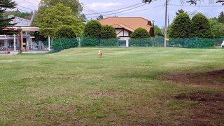 20250523_115233_R.JPG