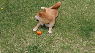20250523_115954_R.JPG