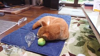 20250523_141422_R.JPG