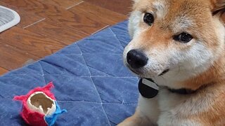 20250526_131359_R.JPG