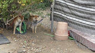 IMG_7389_R.JPG