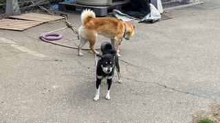 IMG_7391_R.JPG