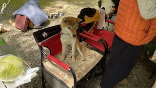 IMG_7434_R.JPG