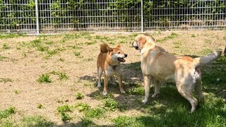 1750409344888 (1)_R.jpg