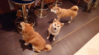 20250530_204917_R.JPG
