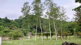 20250531_063552_R.JPG