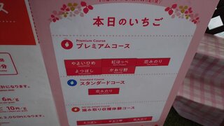 20250531_095842_R.JPG