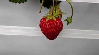 20250531_101358_R.JPG