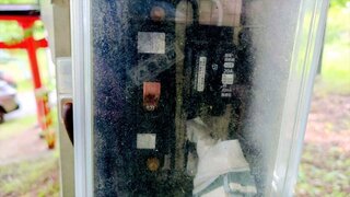 20250601_140036~2_R.JPG