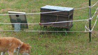 20250603_055554_R.JPG