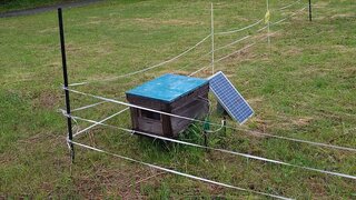 20250603_055646_R.JPG