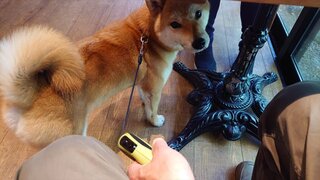 20250607_122624_R.JPG