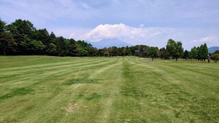 20250608_105258_R.JPG