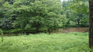 20250612_112450_R.JPG